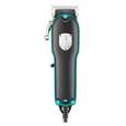 VGR V-123 Hair Trimmer